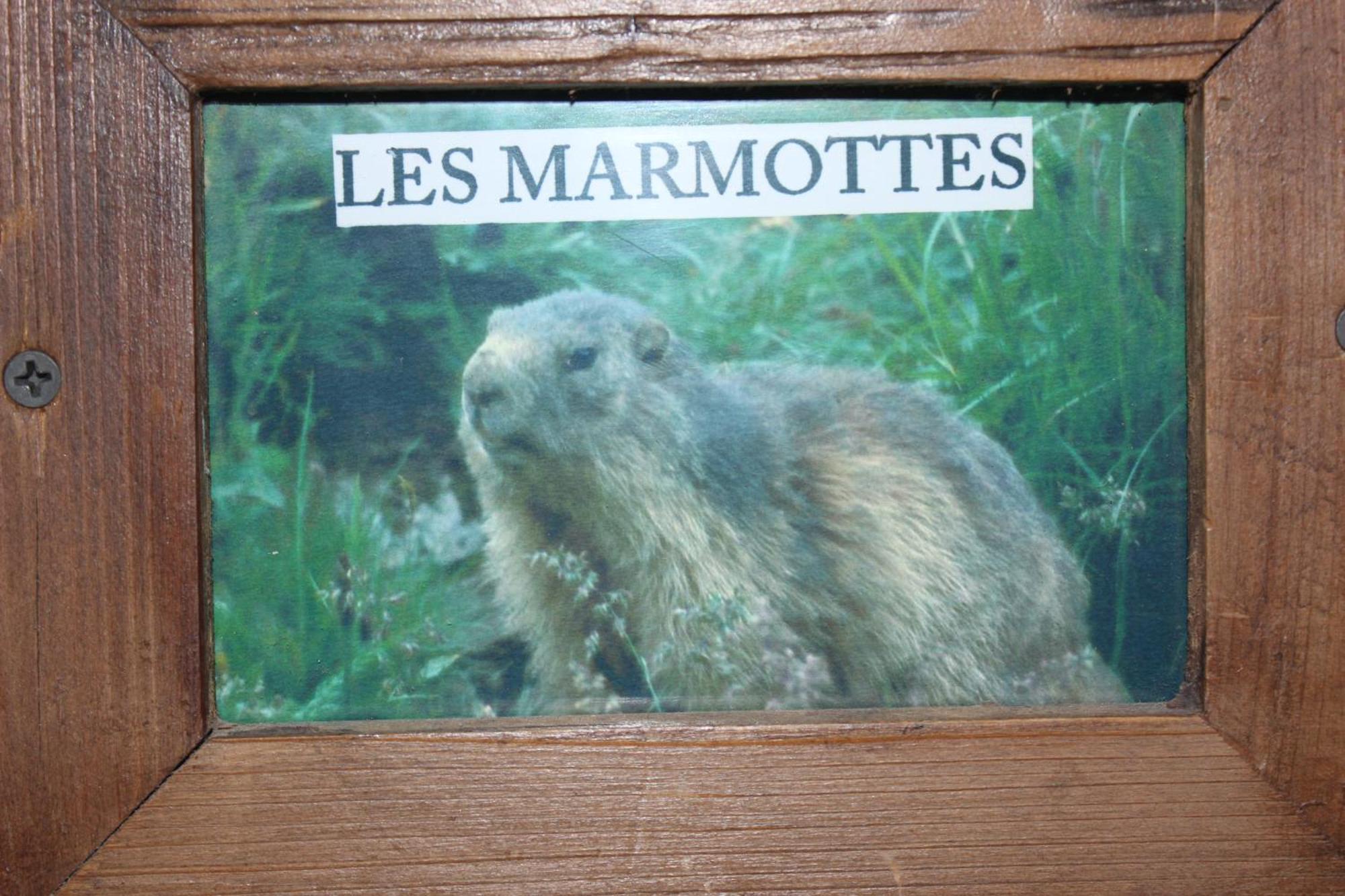 Maison de charme calme entourée de montagne Ussat Esterno foto